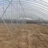 Corrosion-Resistant Customization Energy-Saving Tunnel Greenhouse with High Light Transmission