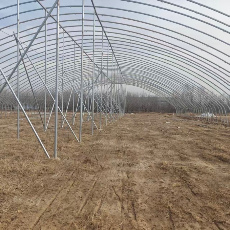 Corrosion-Resistant Customization Energy-Saving Tunnel Greenhouse with High Light Transmission