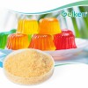Gelatin Halal Approved Edible Fish Gelatin for Dairy Desserts Bakery Candy with High Transparency, Odorless & Halal Industry Certification