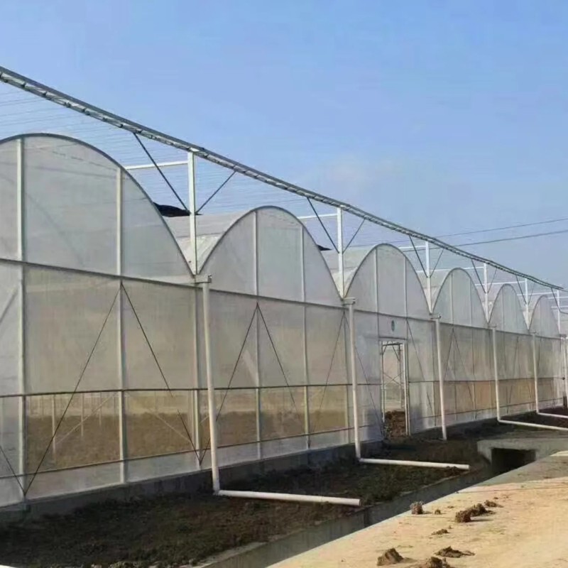 High Quality Durable Thin Anti-Rust Commercial Film Greenhouse for Seedling Nurseries