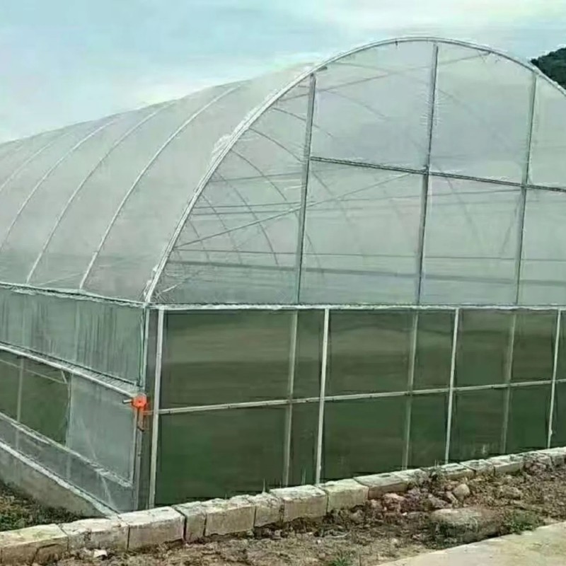 High Quality Durable Thin Anti-Rust Commercial Film Greenhouse for Seedling Nurseries