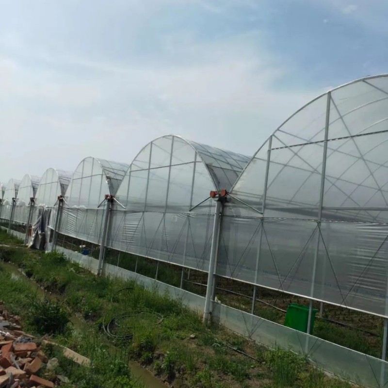 High Quality Durable Thin Anti-Rust Commercial Film Greenhouse for Seedling Nurseries