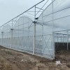 High Quality Durable Thin Anti-Rust Commercial Film Greenhouse for Seedling Nurseries