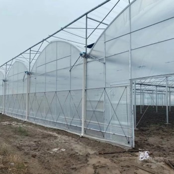 High Quality Durable Thin Anti-Rust Commercial Film Greenhouse for Seedling Nurseries