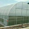 High Quality Durable Thin Anti-Rust Commercial Film Greenhouse for Seedling Nurseries