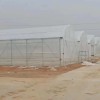 High Quality Durable Thin Anti-Rust Commercial Film Greenhouse for Seedling Nurseries