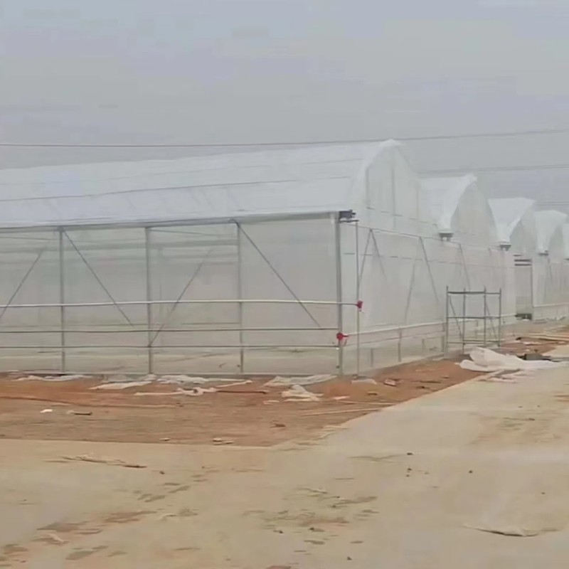 High Quality Durable Thin Anti-Rust Commercial Film Greenhouse for Seedling Nurseries