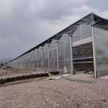 Sturdy Advanced Corrosion-Resistant Venlo Greenhouse with Enhanced Structural Integrity