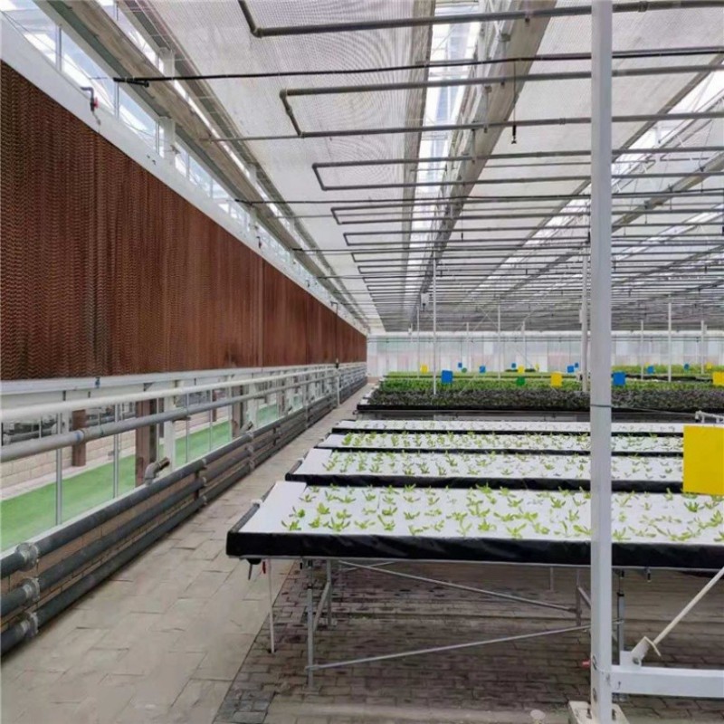 Sturdy Advanced Corrosion-Resistant Venlo Greenhouse with Enhanced Structural Integrity