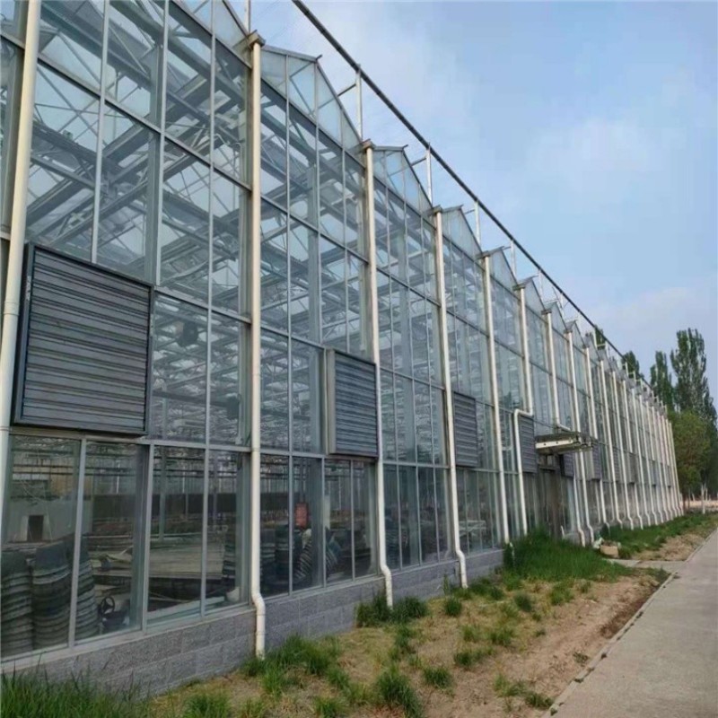 Sturdy Advanced Corrosion-Resistant Venlo Greenhouse with Enhanced Structural Integrity