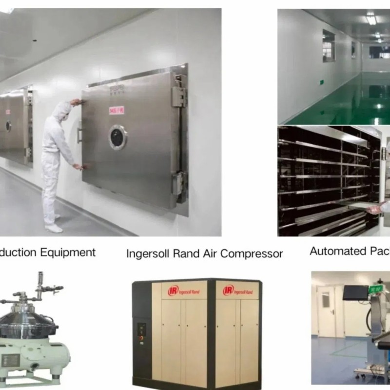 Hot Sale Factory 200 Billion Cfu/G Health Care Supplement Lactobacillus Acidophilus Probiotics