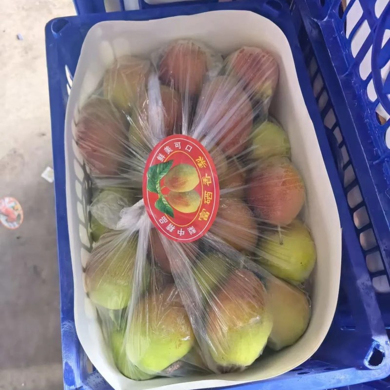 China Fresh Pears Hot Saleing to The World