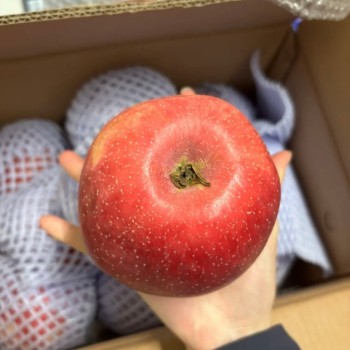High-Quality Apples Made in China, Direct Supply/Fresh Apple