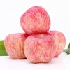 High-Quality Apples Made in China, Direct Supply/Fresh Apple