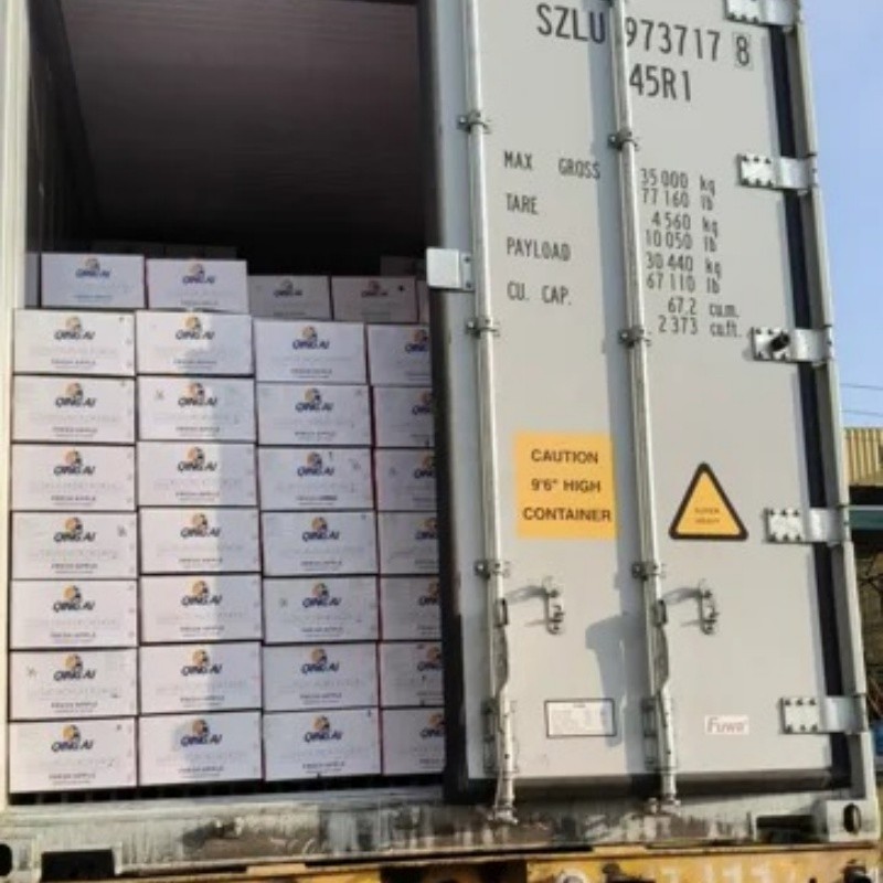 High-Quality Apples Made in China, Direct Supply/Fresh Apple