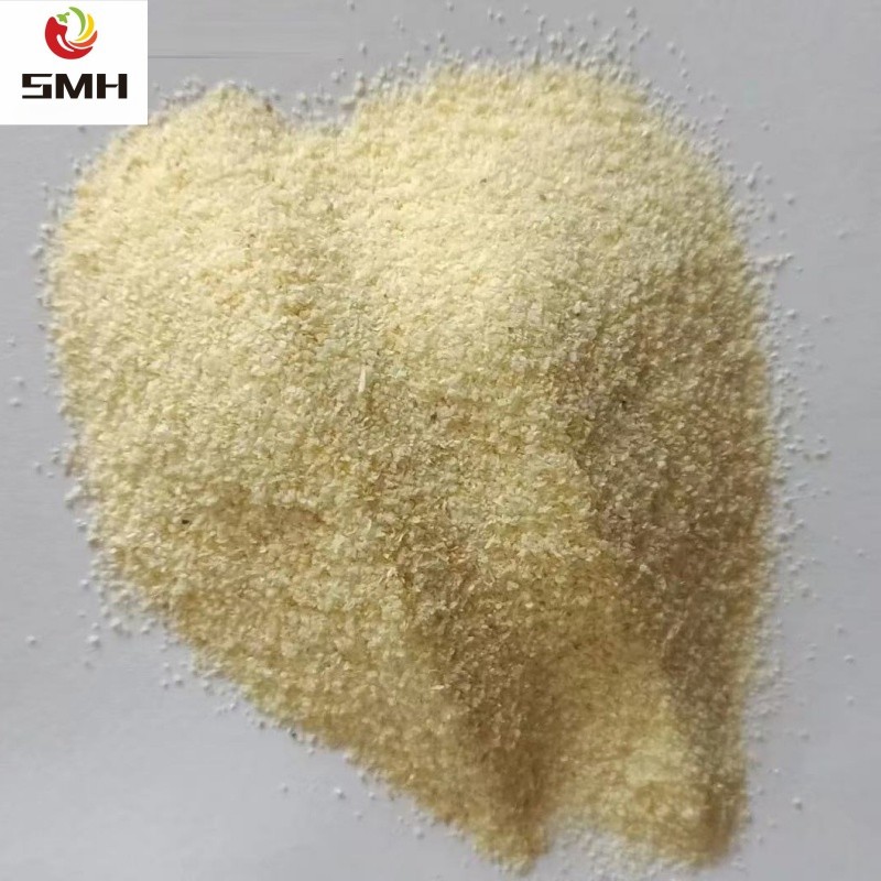 Professional Supply China Garlic Granules 40-80 Mesh