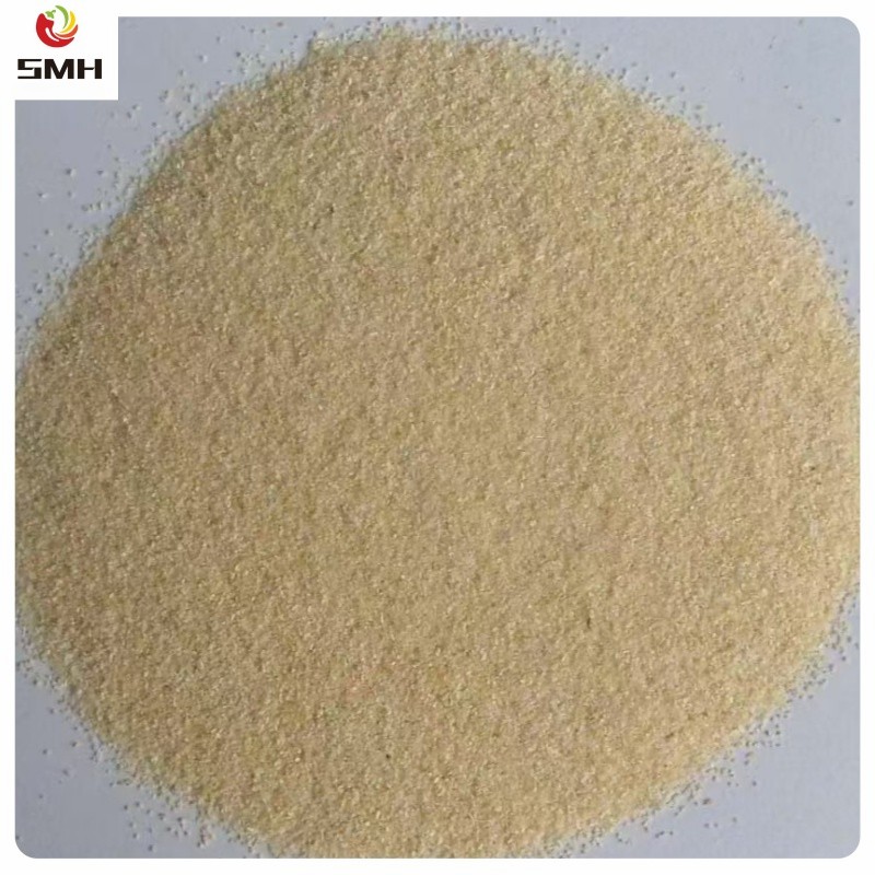 Professional Supply China Garlic Granules 40-80 Mesh