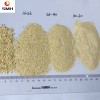 Professional Supply China Garlic Granules 40-80 Mesh