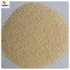 Professional Supply China Garlic Granules 40-80 Mesh