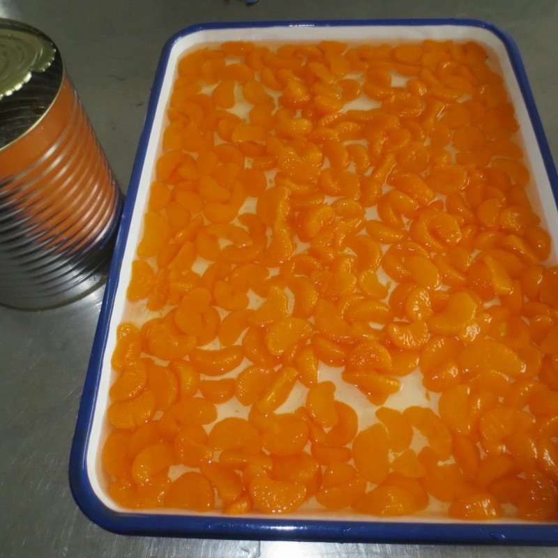 Manufacturer of Canned Mandarin Orange in Syrup with BRC Cert