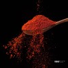 2024 New Season Paprika Powder BRC/Halal Paprika Red Spices