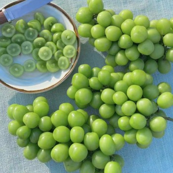 Juicy Shine Muscat Grape - Grade 1 Organic Sweetness Flavor