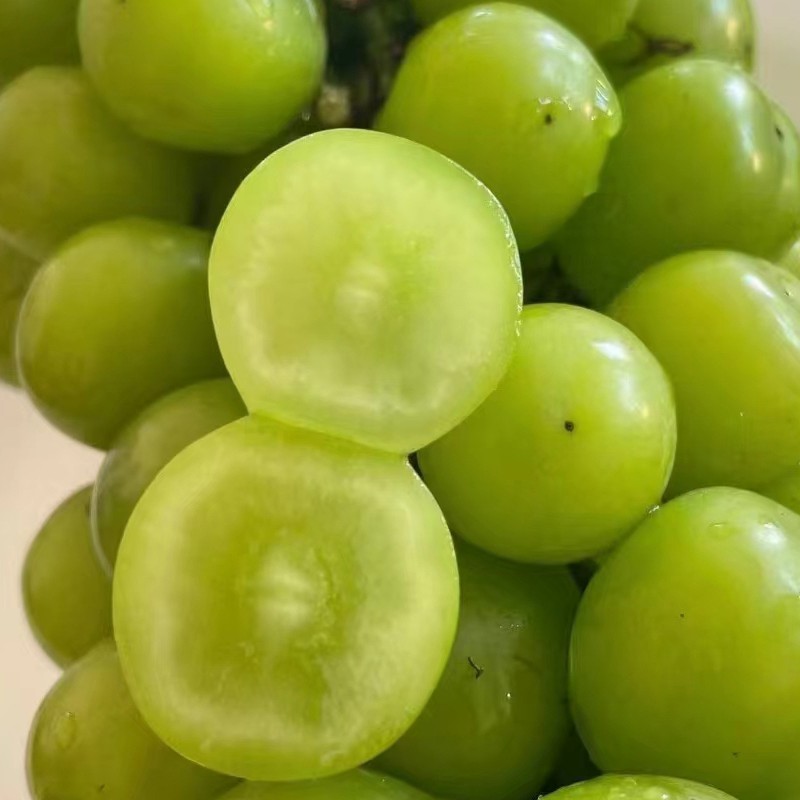 Juicy Shine Muscat Grape - Grade 1 Organic Sweetness Flavor