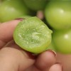 Juicy Shine Muscat Grape - Grade 1 Organic Sweetness Flavor