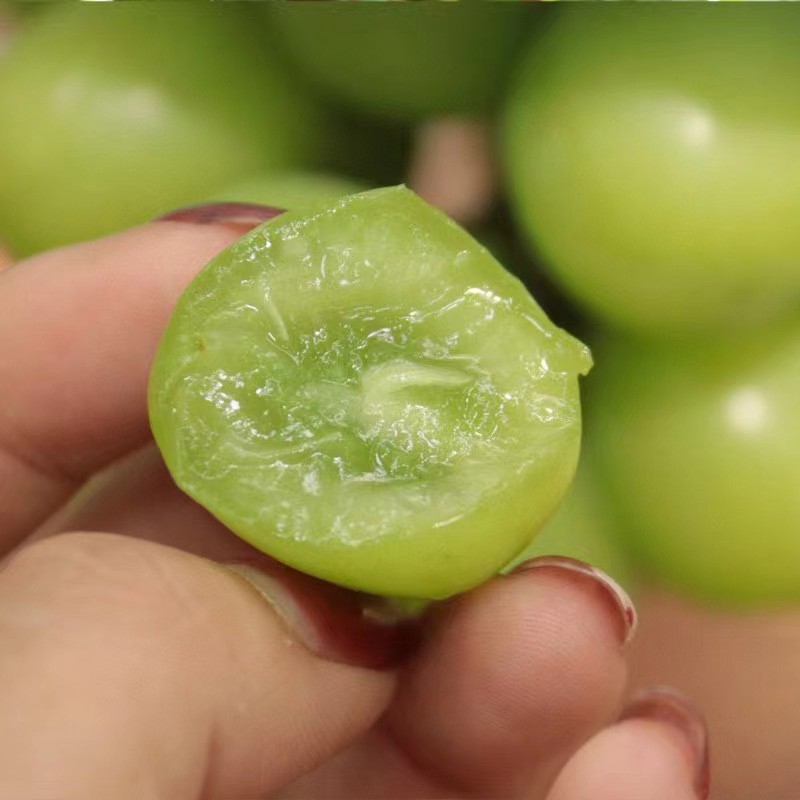 Juicy Shine Muscat Grape - Grade 1 Organic Sweetness Flavor