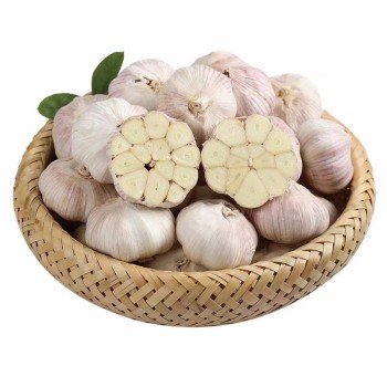 China Fresh Garlic Export