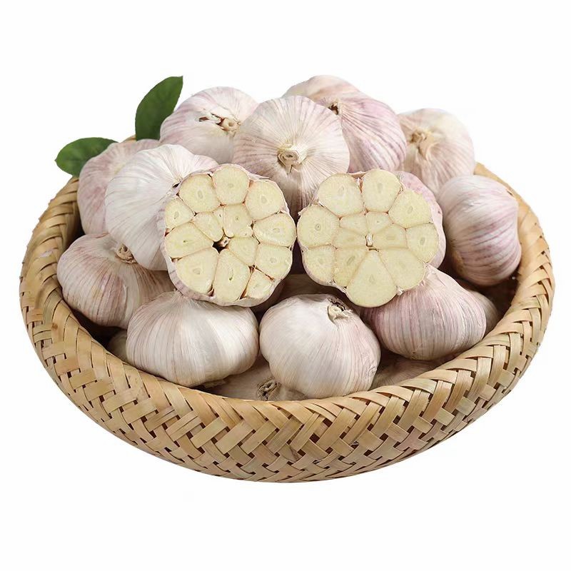 China Fresh Garlic Export