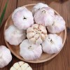 China Fresh Garlic Export