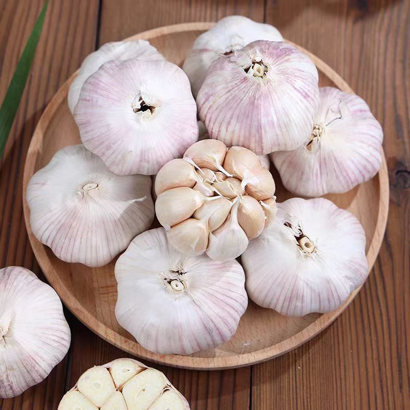 China Fresh Garlic Export