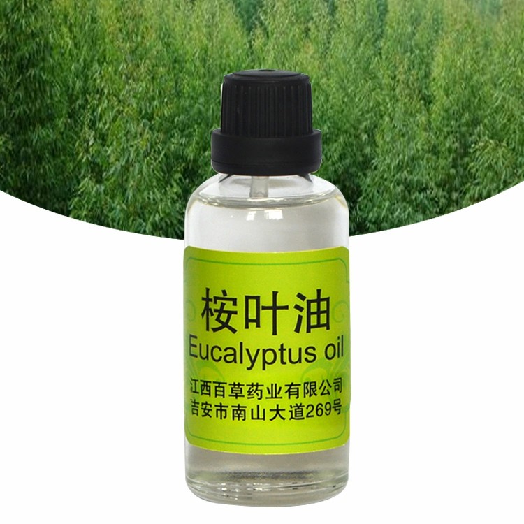 Natural Essential Oil Flavor and Fragrance Supplied Eucalyptus Globulus Oil