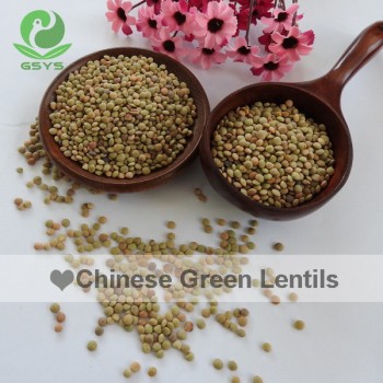 Chinese Organic Lentils Quality Green Lentils Hot Sale