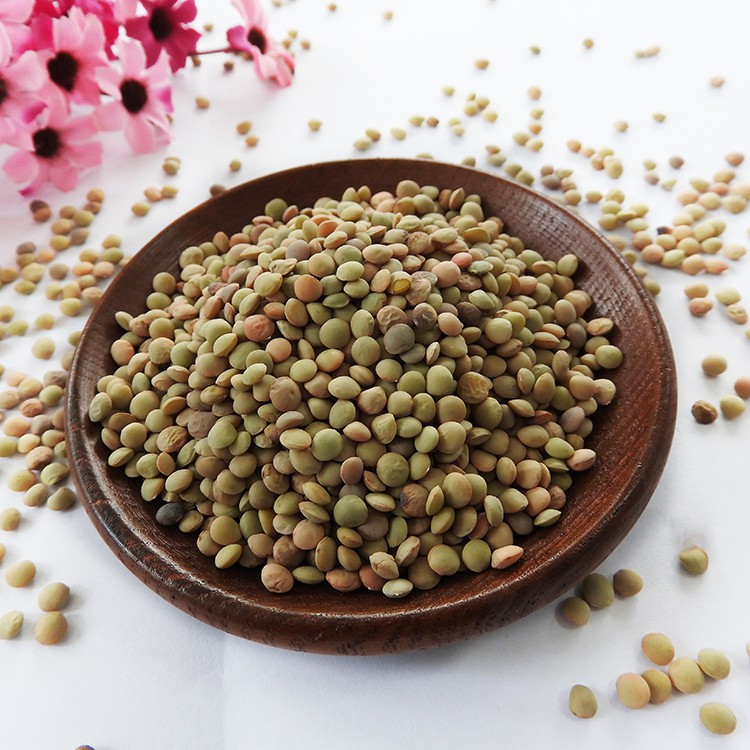 Chinese Organic Lentils Quality Green Lentils Hot Sale