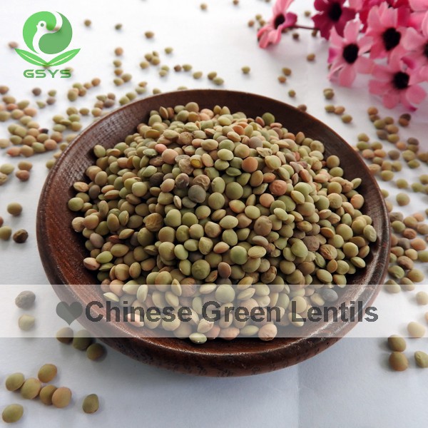 Chinese Organic Lentils Quality Green Lentils Hot Sale