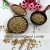 Chinese Organic Lentils Quality Green Lentils Hot Sale