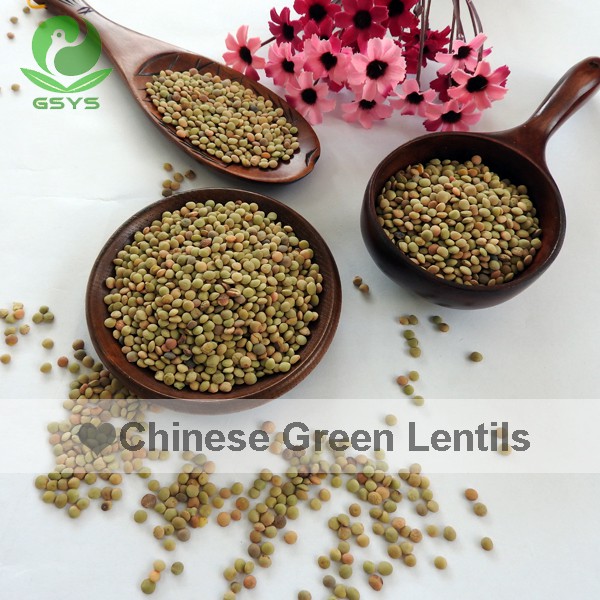 Chinese Organic Lentils Quality Green Lentils Hot Sale