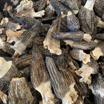 Premium Dry Dehydrated Morchella Mushroom