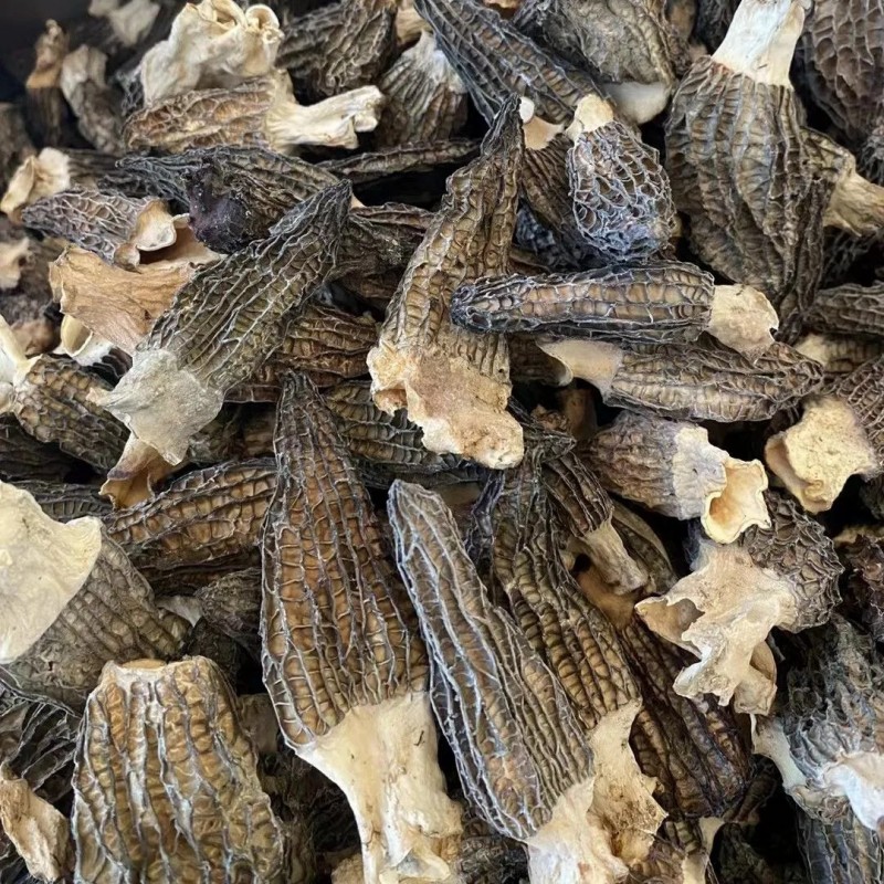 Premium Dry Dehydrated Morchella Mushroom