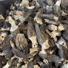 Premium Dry Dehydrated Morchella Mushroom