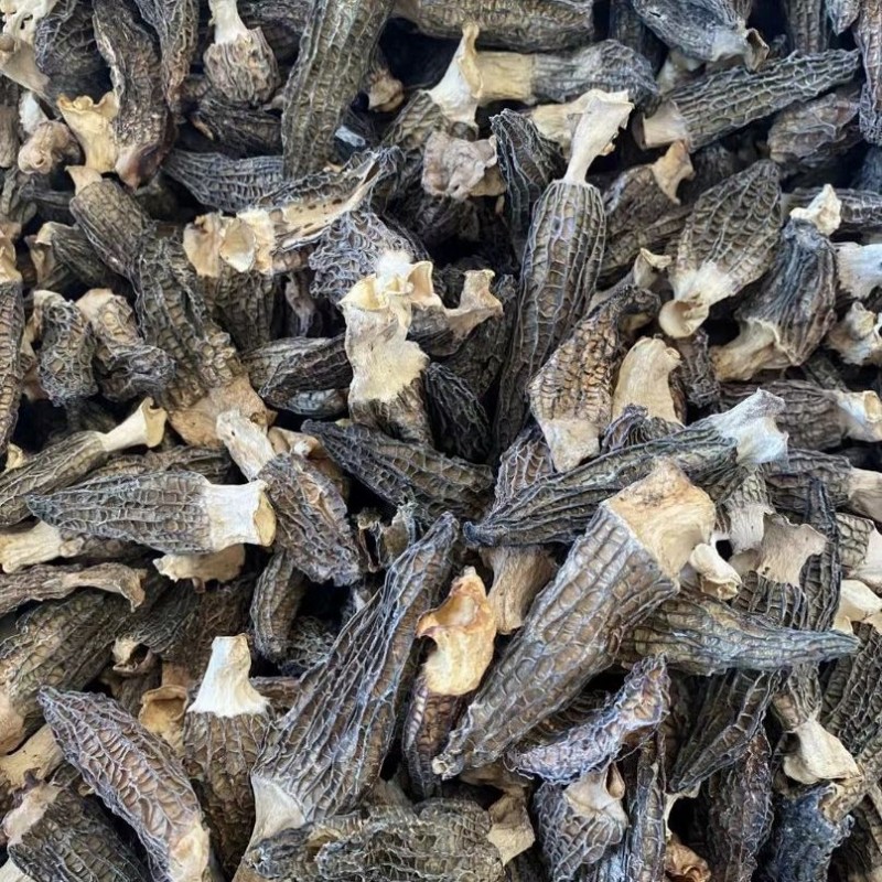 Premium Dry Dehydrated Morchella Mushroom