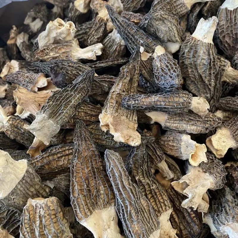 Premium Dry Dehydrated Morchella Mushroom
