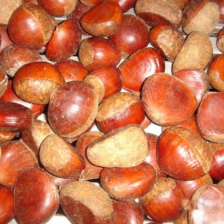 New Season Export Professional Chinese Fresh Chestnut for Roasted
