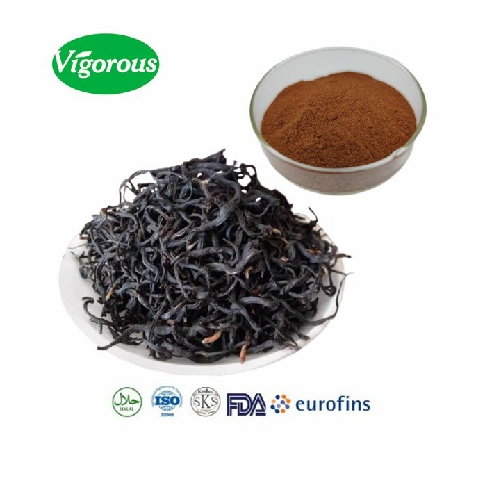 Best Price Good Solubility Free Smple Cold Soluble Tea Powder Instant Black Tea Extract Powder for Beverage
