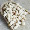 Raw Peanut, New Crop, Roasted Peanut, Seeds, Walnut Kernel, White Peanut