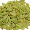 Natural Green Dry Fruit Raisins All Types of Dried Raisins