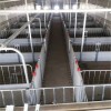 European Style Waterproof Pig Isolation Pens for Farm Use