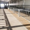 European Style Waterproof Pig Isolation Pens for Farm Use